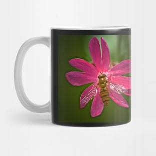 HOVER CHAMPION ON CAMPION Mug